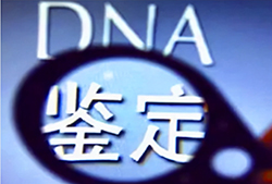 吕梁个人DNA亲子鉴定中心在哪里，吕梁个人亲子鉴定机构咨询预约