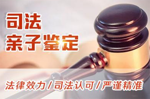 黑龙江正规司法亲子鉴定机构地址在哪,黑龙江司法亲子鉴定费用是多少