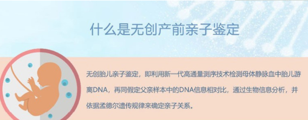 邢台胎儿亲子鉴定正规中心在什么地方,邢台怀孕亲子鉴定准确吗