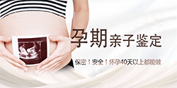 浙江孕期亲子鉴定基本流程[检测咨询]